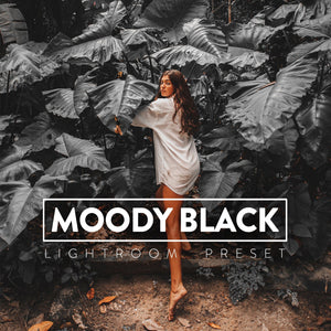 Moody Black Presets