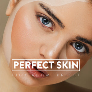 Perfect Skin Presets