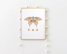 Muat gambar ke penampil Galeri, Boho Butterflies Printable Set
