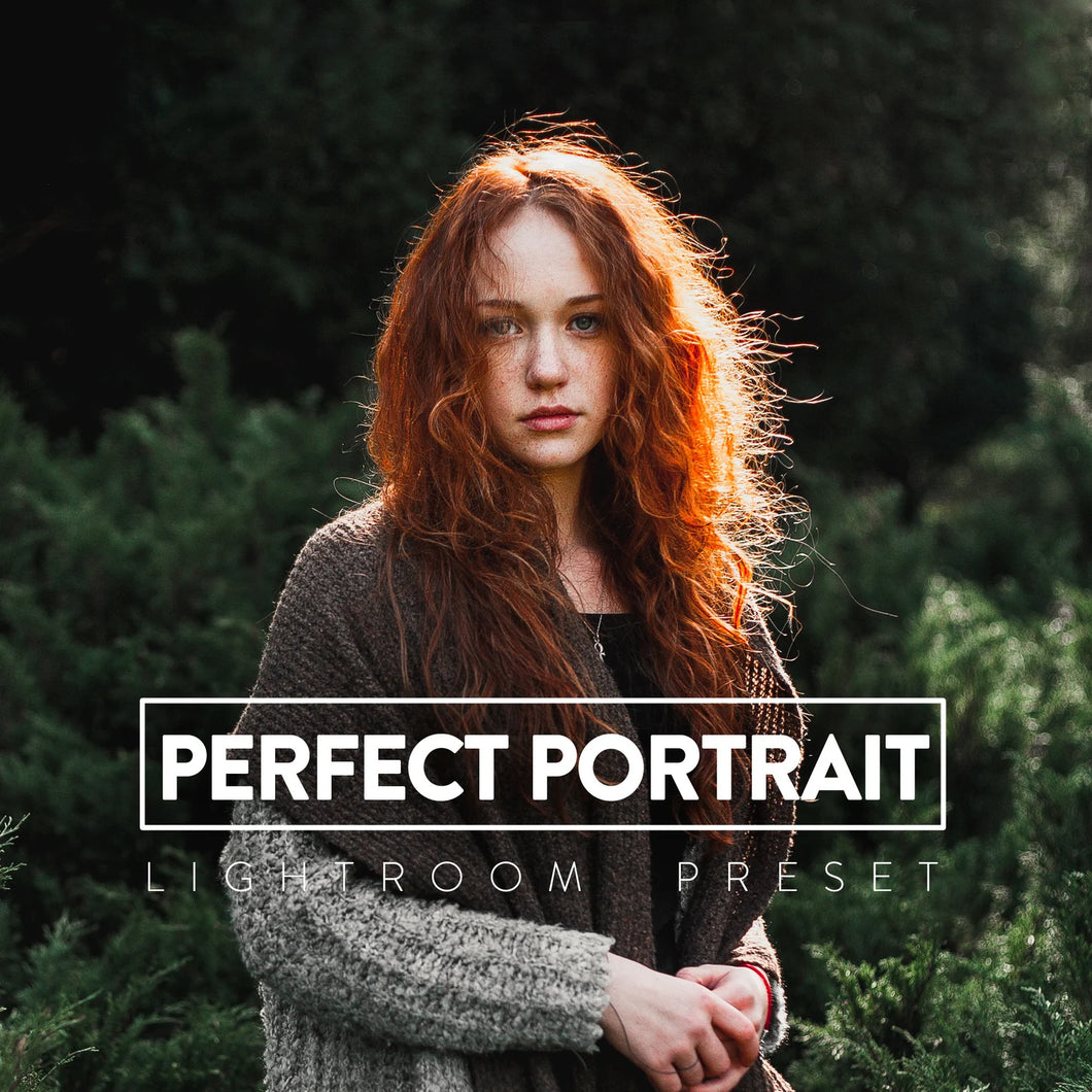 Perfect Portrait Presets